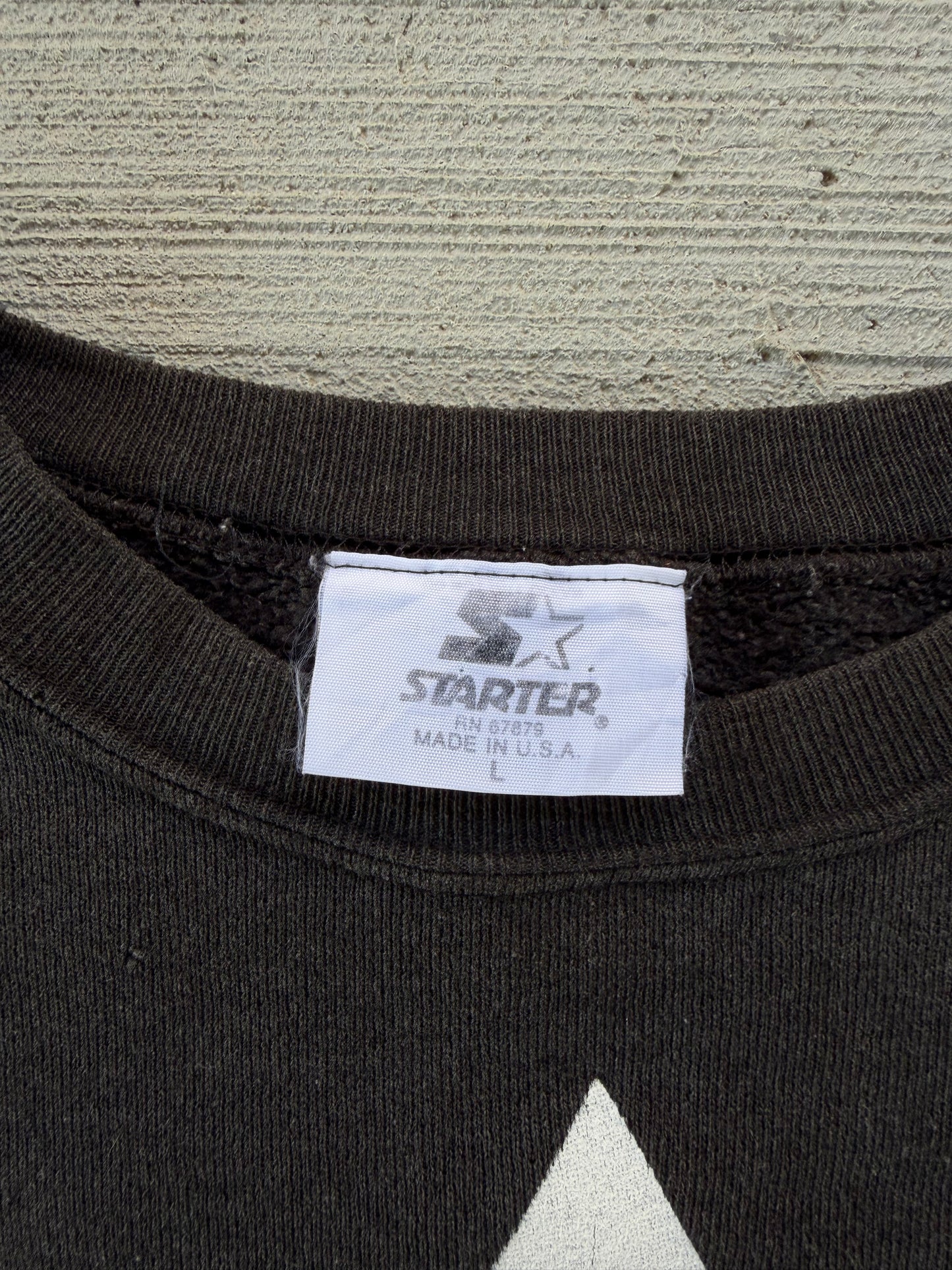 Vintage 1993 Carolina Panthers Starter Crewneck