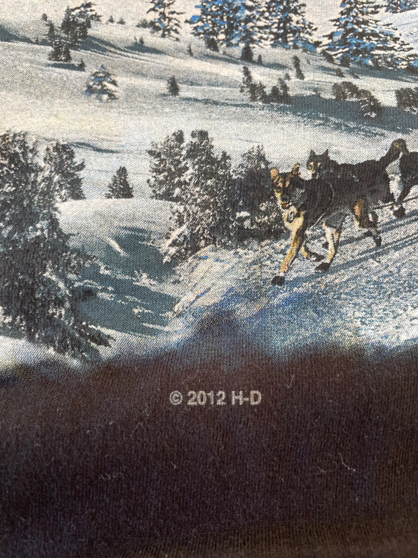 2012 Harley Davidson Alaska Tee