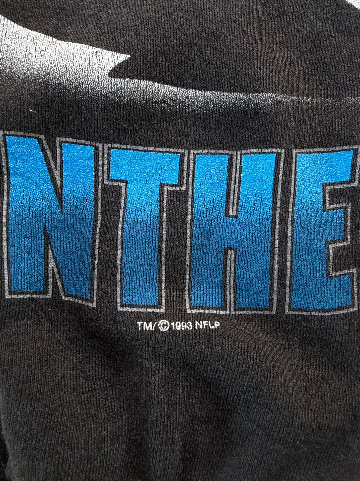 Vintage 1993 Carolina Panthers Starter Crewneck