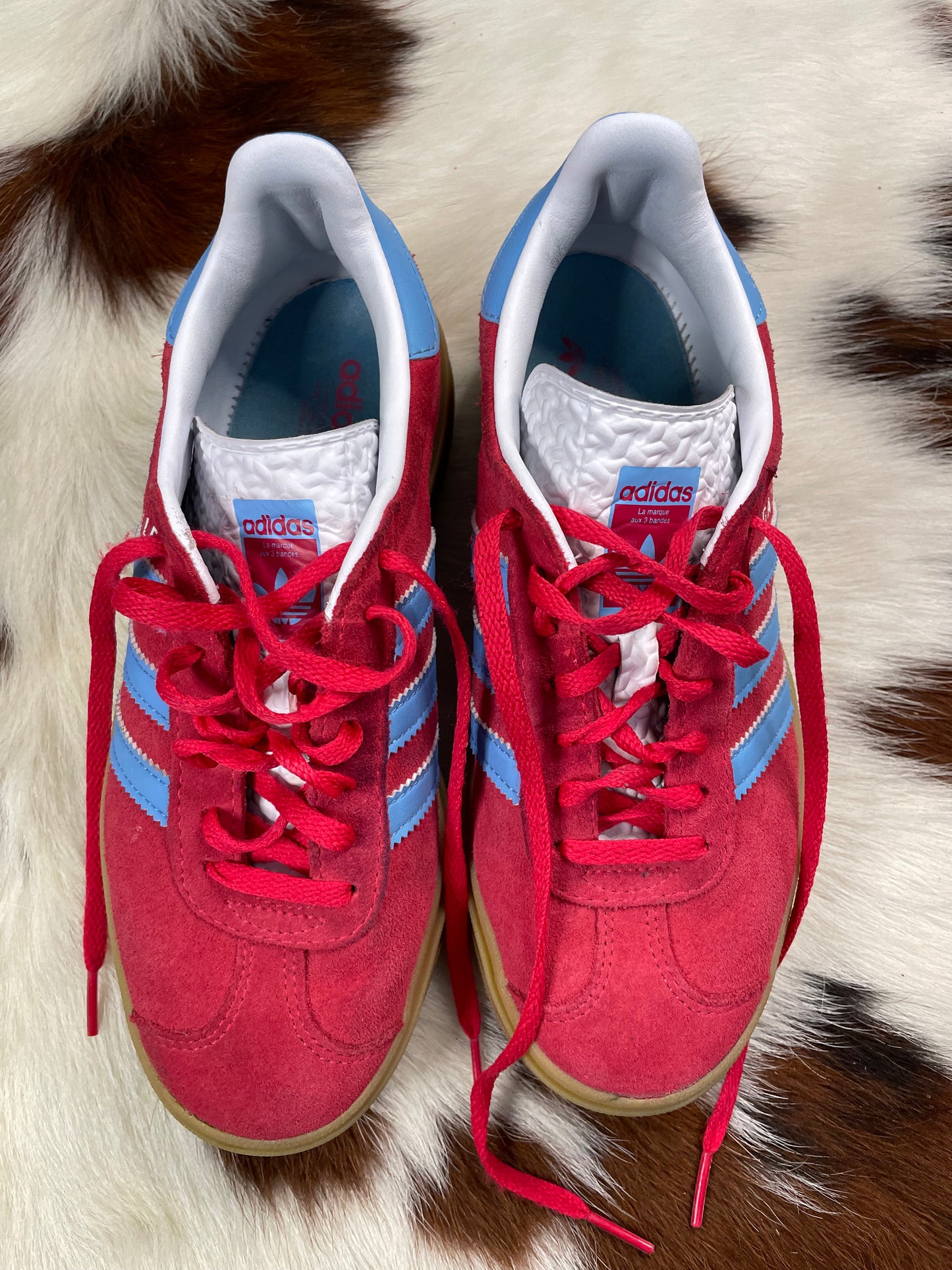 Adidas Gazelle Bold