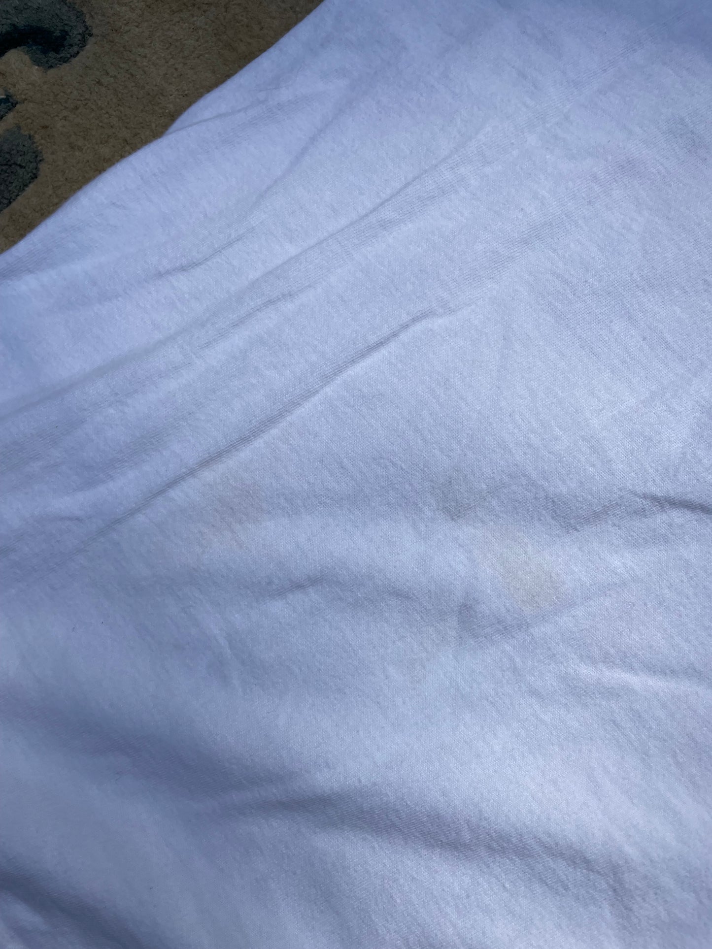 Vintage 1990s Banana Republic Safari Lion Tee