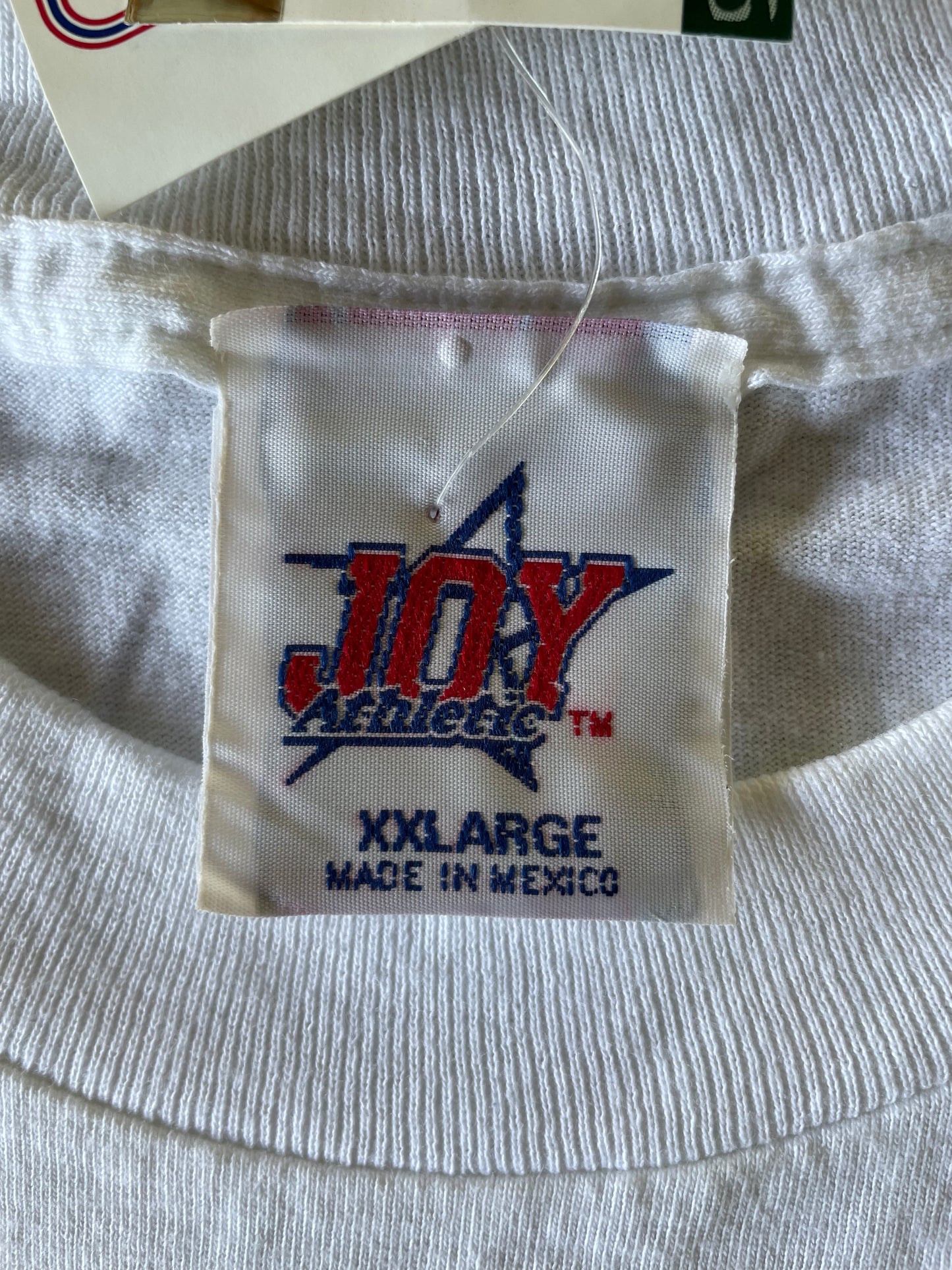 1999 Albany Firebirds Arena Football Champs Tee