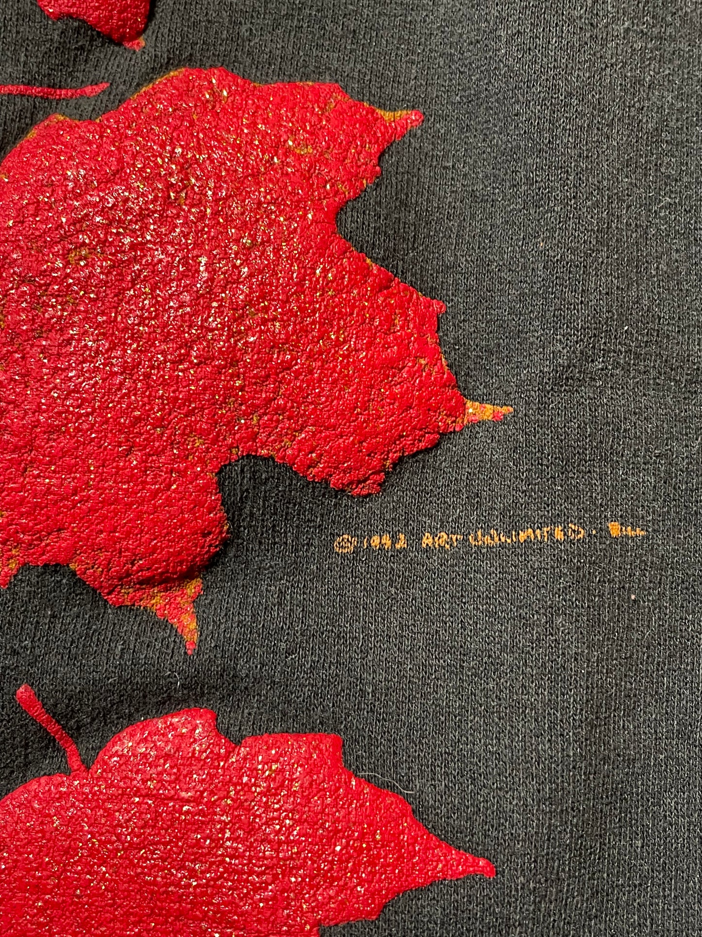 1990s Lake Placid Crewneck