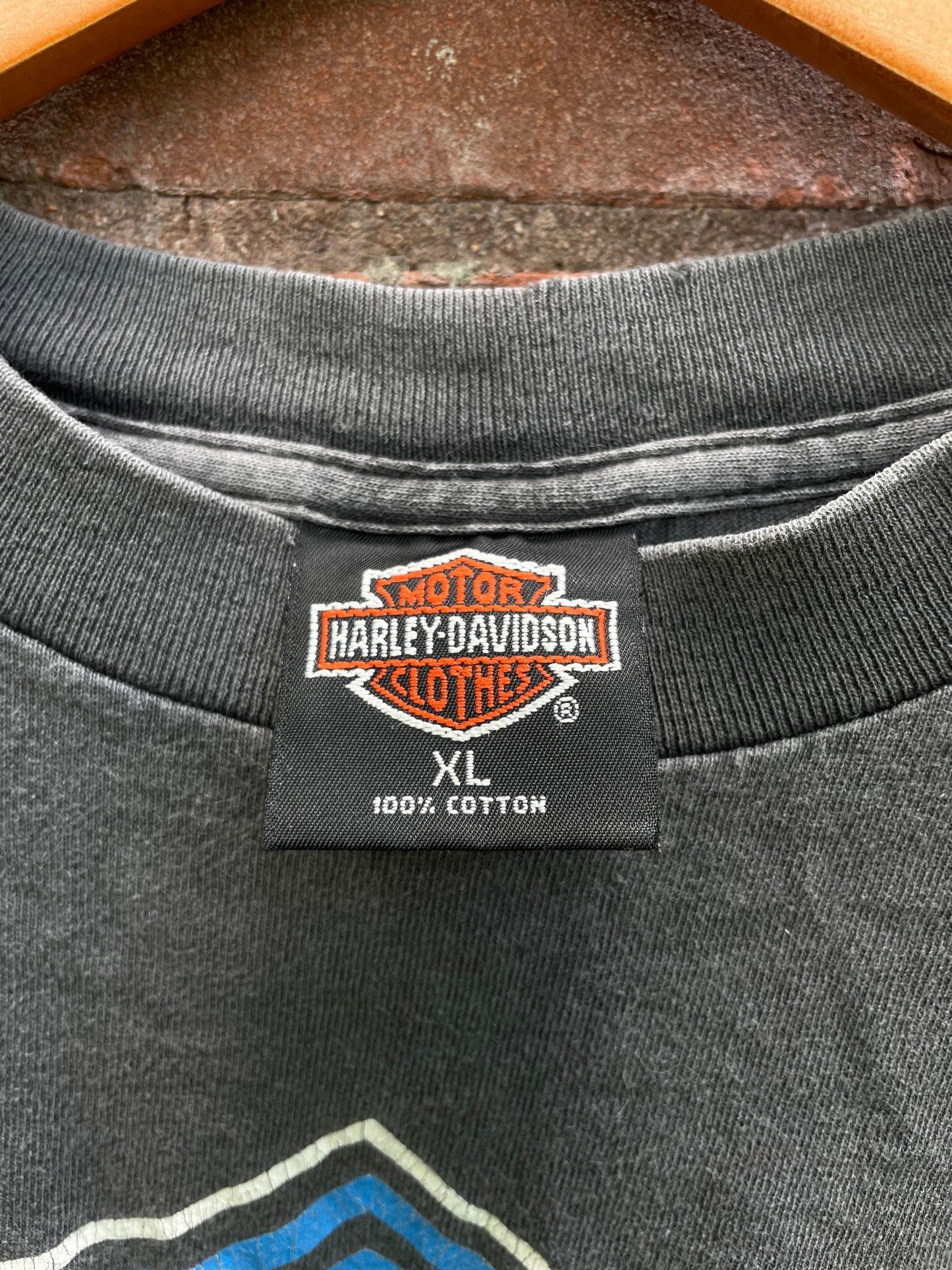 1980s Harley Davidson Seacoast L/S Shirt