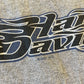 2001 Harley Davidson San Diego Tank