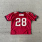 Vintage Warrick Dunn Buccaneers Jersey