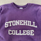 Vintage 2000s Stonehill College Champion Crewneck