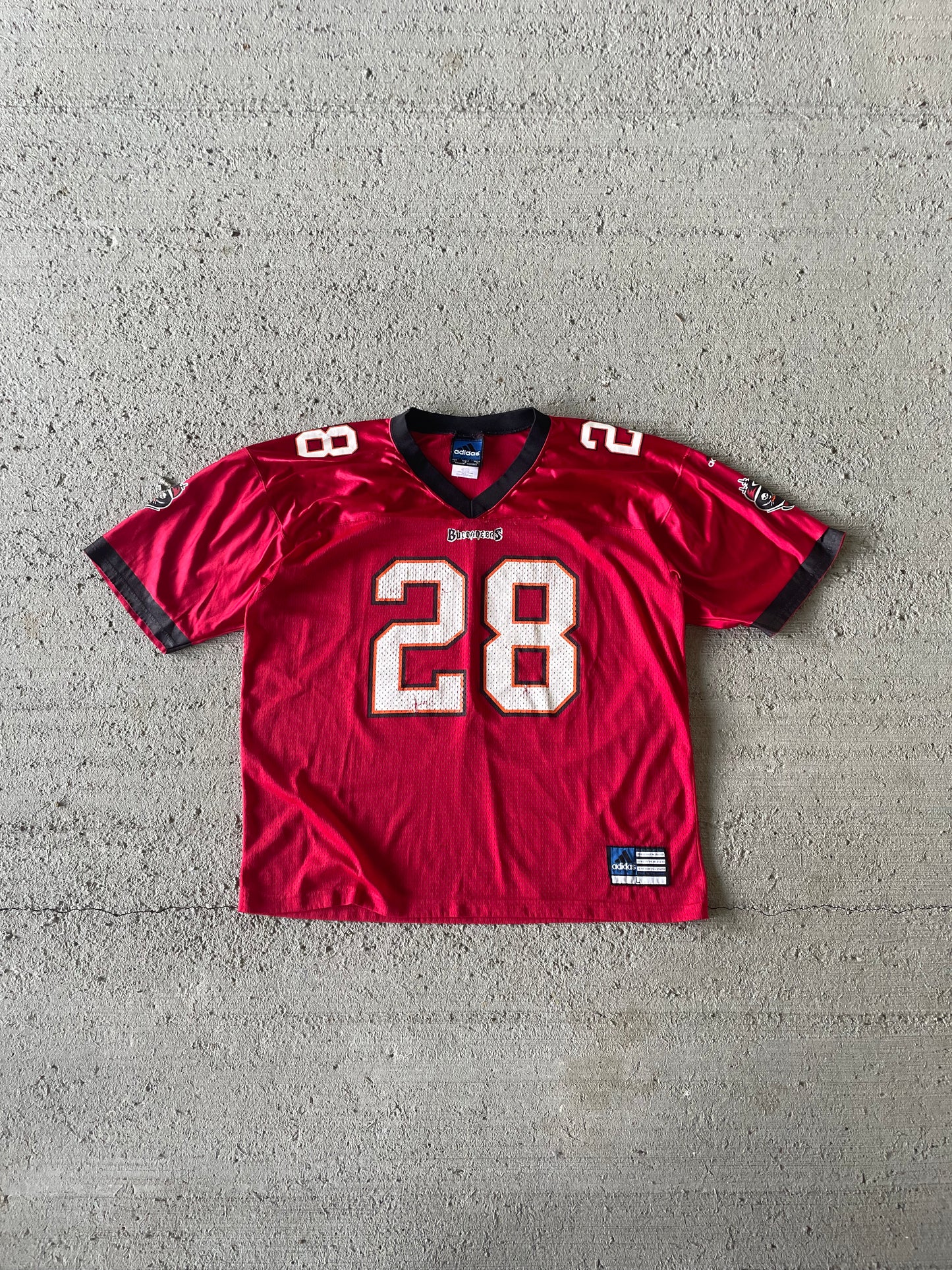 Vintage Warrick Dunn Buccaneers Jersey