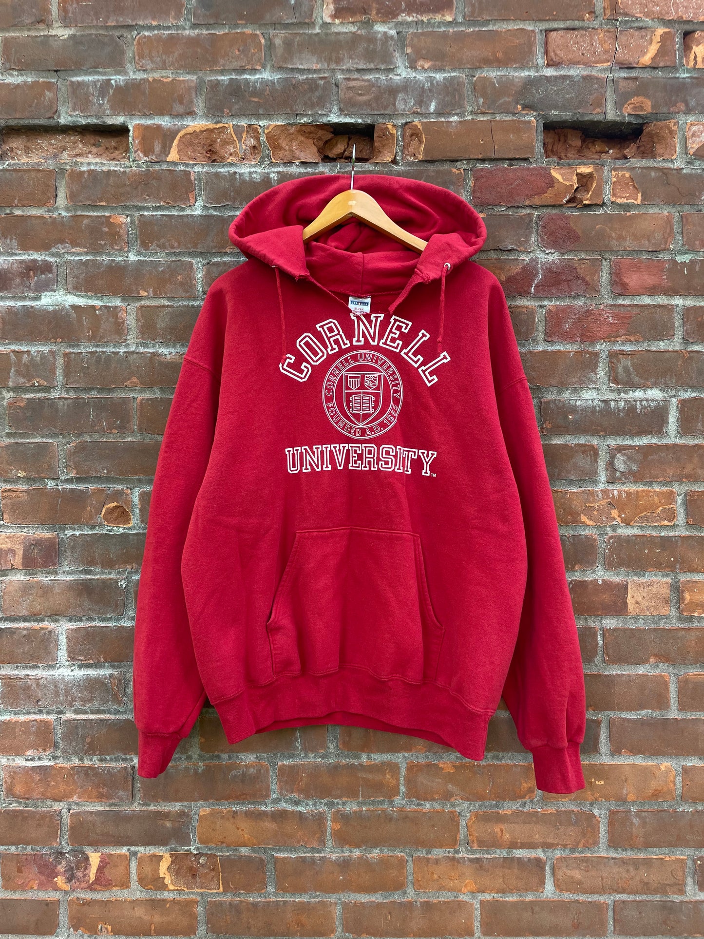 90s/00s Cornell Hoodie